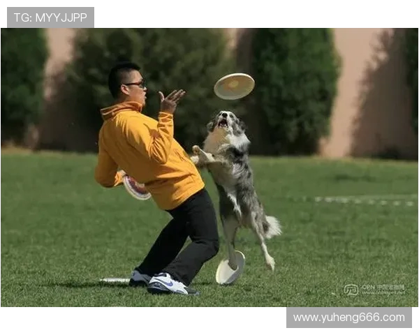 南京飞盘队在极限运动世界杯中的逆袭之路与荣耀时刻回顾