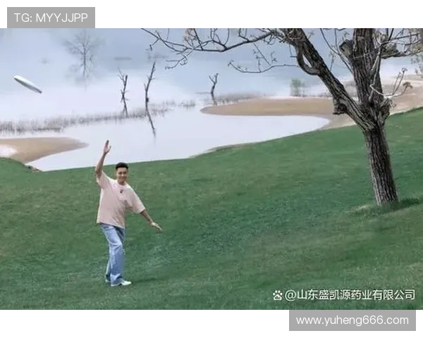 深圳飞盘队在滑板精英赛中的灵活性表现与战术分析 深圳飞盘队在滑板精英赛中的灵活性表现与战术分析