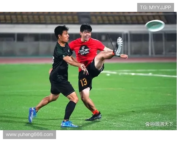 赛后分析：北京飞盘队与南京飞盘队的实力对决与战术较量