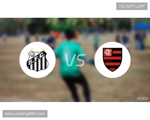 弗拉门戈对阵桑托斯精彩直播全程回顾与赛后分析