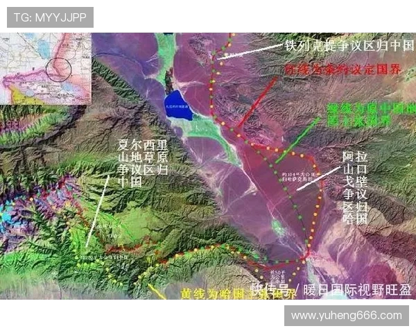 赖斯的外交智慧与全球局势的微妙变化分析