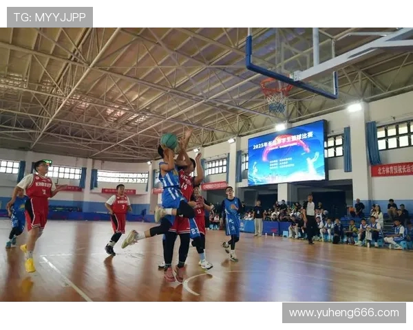 专访王伟：深入探讨篮球领域的成功秘诀与成长之路