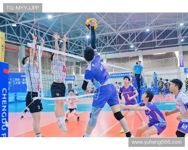 数据分析：成都排球队的实力表现